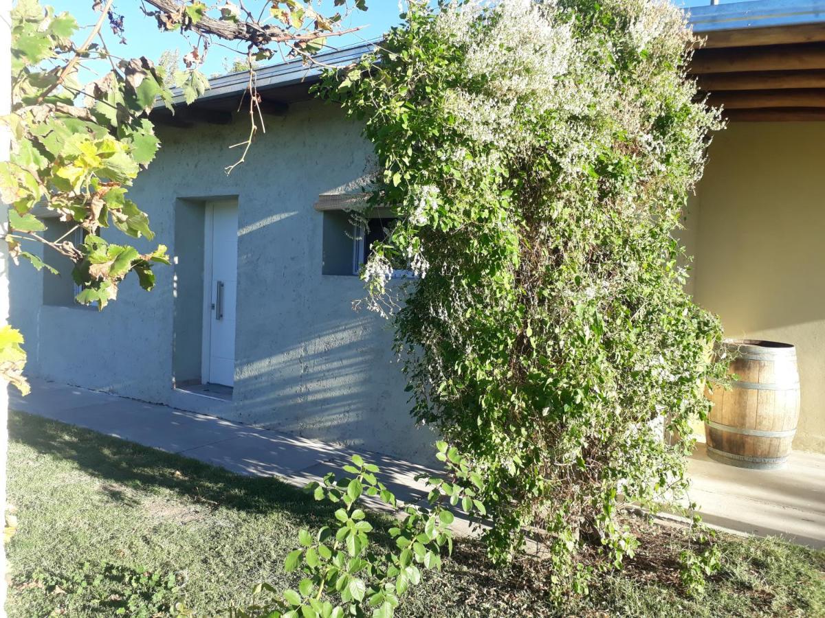 Casa De Campo Las Olivas San Rafael (Mendoza) Exterior foto