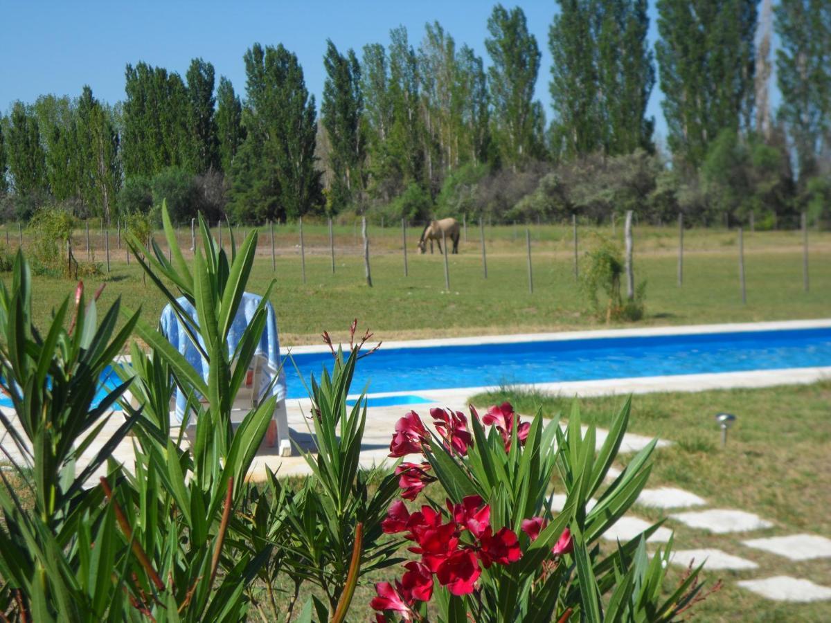 Casa De Campo Las Olivas San Rafael (Mendoza) Exterior foto