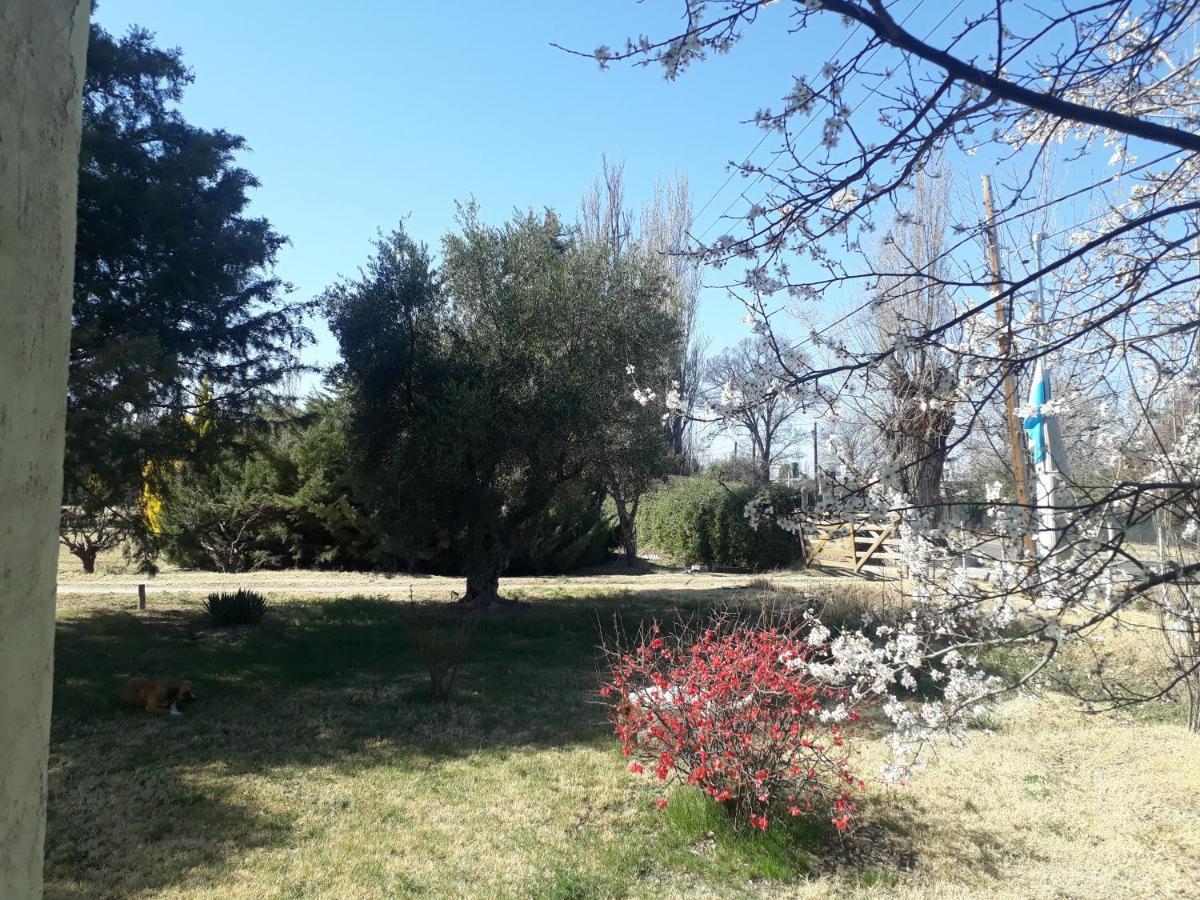 Casa De Campo Las Olivas San Rafael (Mendoza) Exterior foto