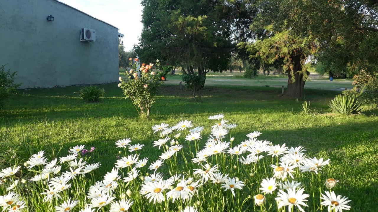 Casa De Campo Las Olivas San Rafael (Mendoza) Exterior foto