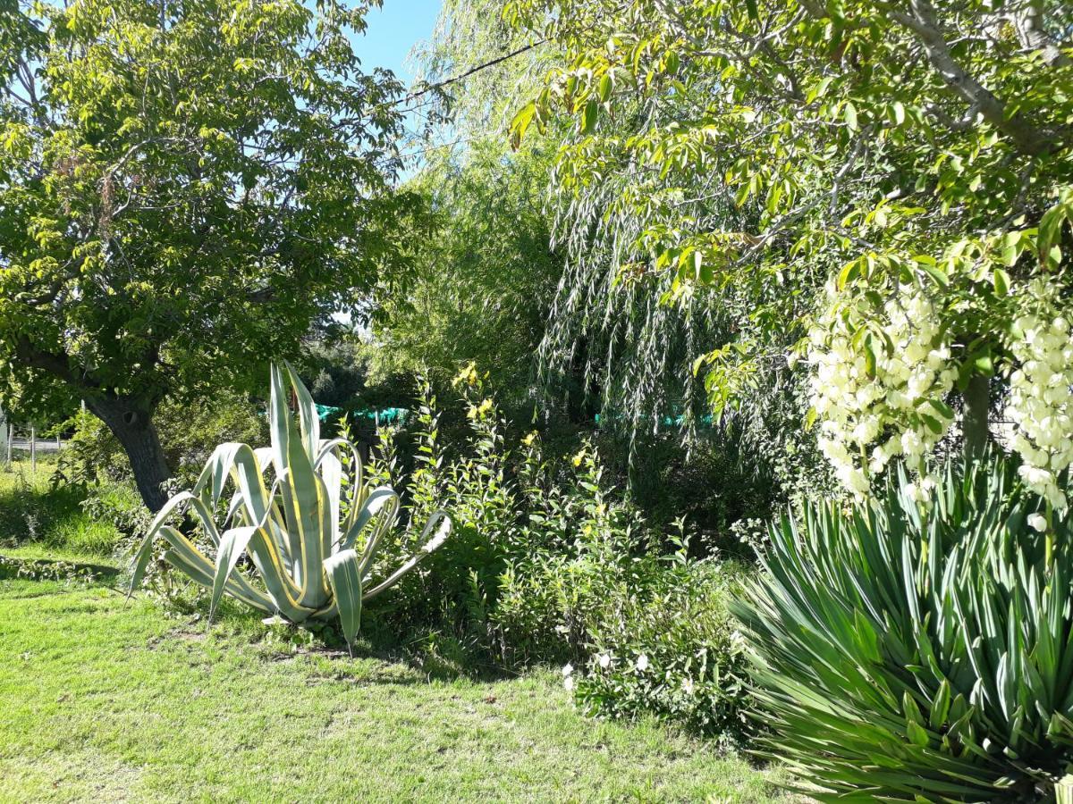 Casa De Campo Las Olivas San Rafael (Mendoza) Exterior foto