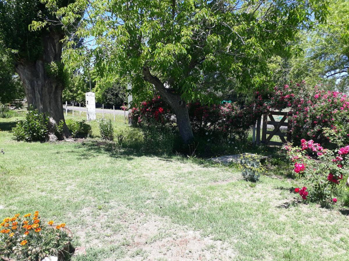 Casa De Campo Las Olivas San Rafael (Mendoza) Exterior foto